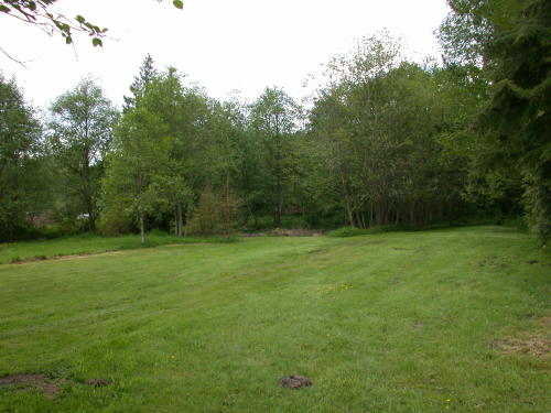 Lower level fireplace